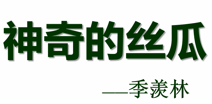 神奇的丝瓜PPT课件