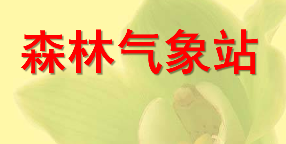 森林气象站PPT课件