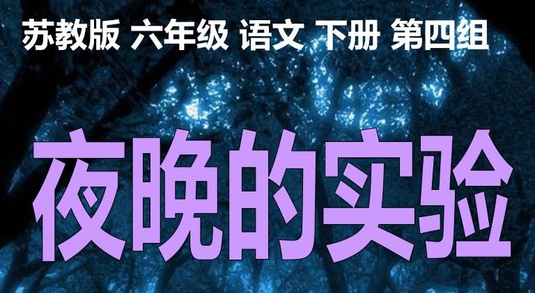 夜晚的实验PPT课件