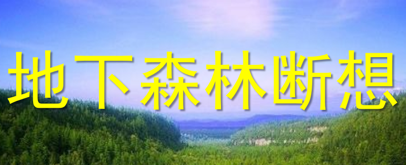 地下森林断想PPT课件