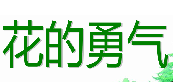 花的勇气PPT课件