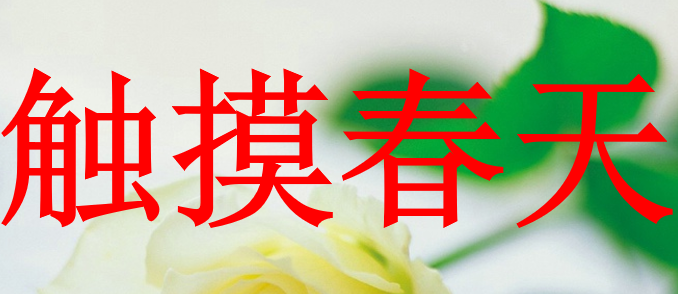 触摸春天PPT课件