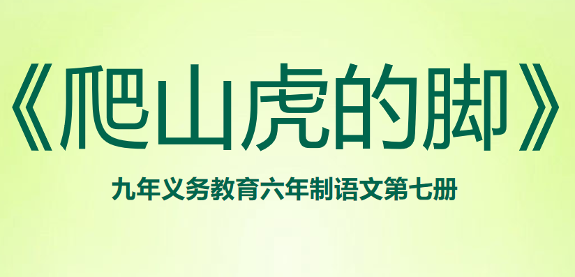爬山虎的脚PPT课件