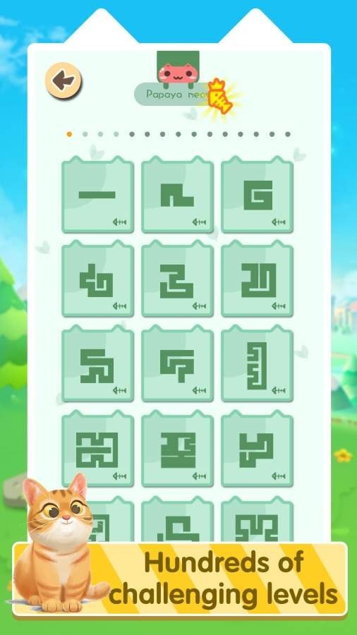 一条猫v1.1.1安卓版2