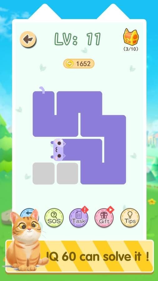 一条猫v1.1.1安卓版3