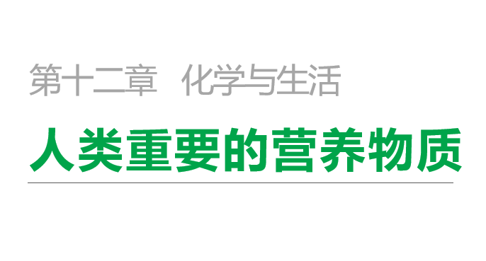 人类重要的营养物质PPT课件