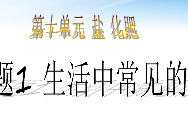 生活中常见的盐PPT课件