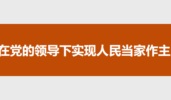 在党的领导下实现人民当家作主PPT课件