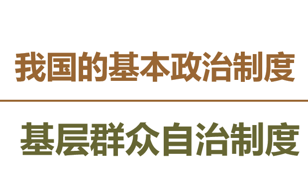 基层群众自治制度PPT课件