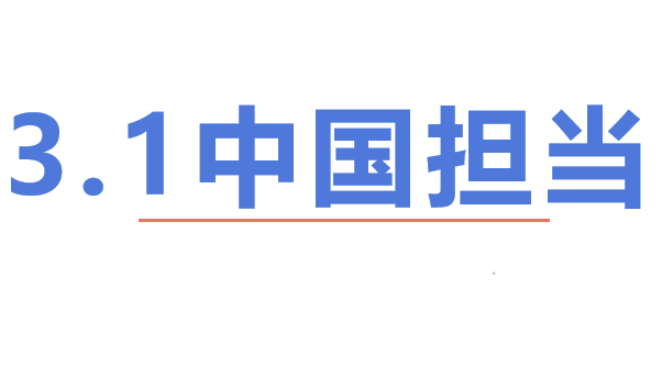 中国担当PPT课件