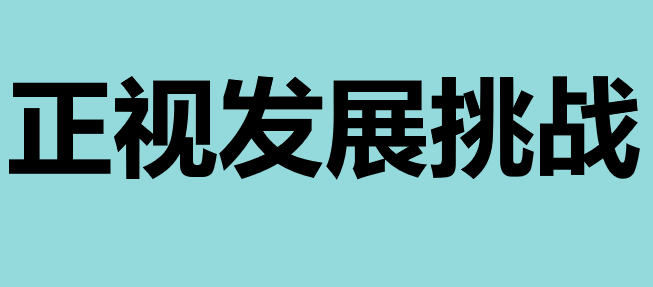 正视发展挑战PPT课件