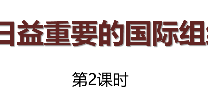 日益重要的国际组织PPT课件