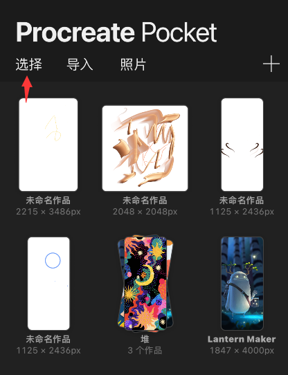 procreate pocket怎样预览图片