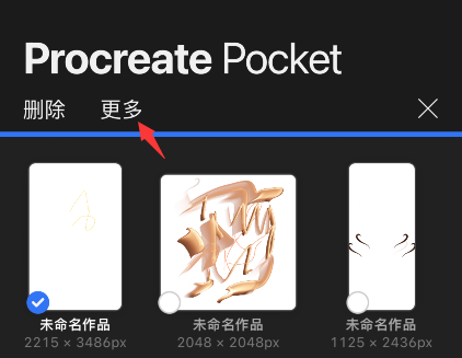 procreate pocket怎样预览图片