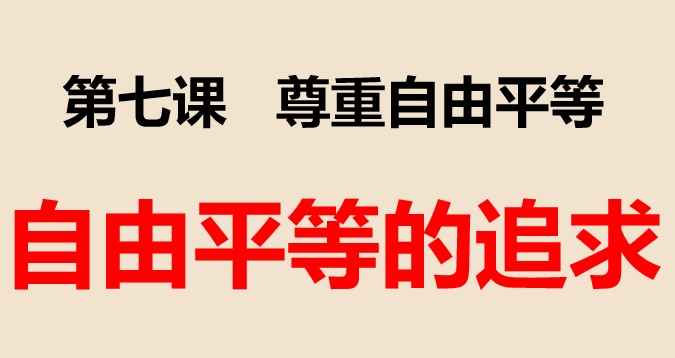 自由平等的追求PPT课件