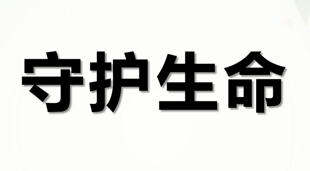 守护生命PPT课件