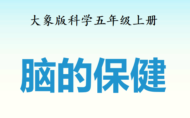 脑的保健PPT课件