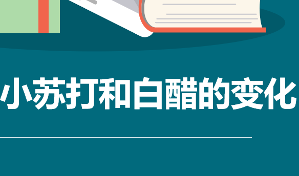 小苏打和白醋的变化PPT课件