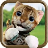 可爱的猫模拟器v1.0.3安卓版
