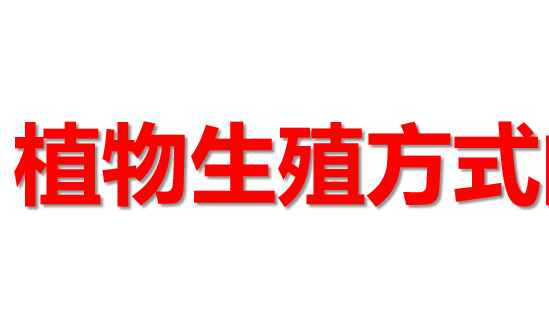 植物生殖方式的多样性PPT课件