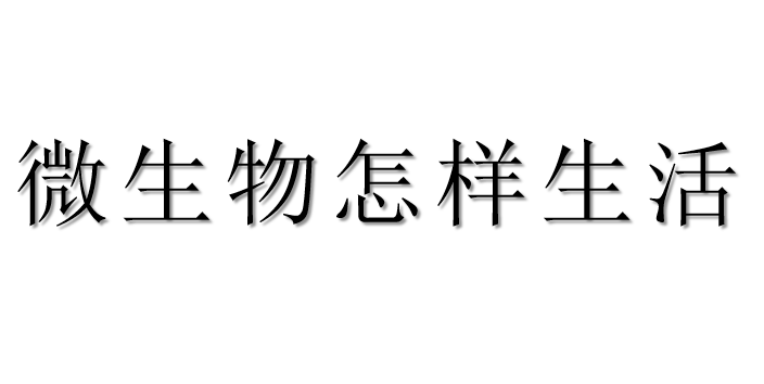 微生物怎样生活PPT课件