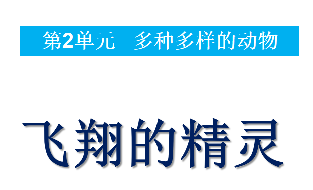 飞翔的精灵PPT课件