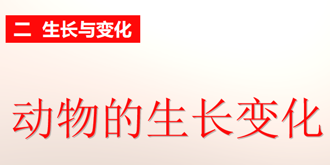 动物的生长变化PPT课件