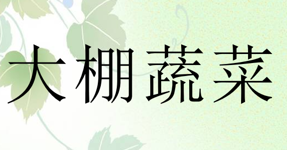大棚蔬菜PPT课件