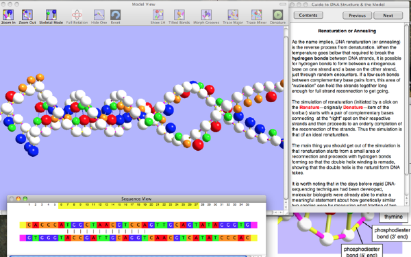 OnScreen DNA Model Mac版