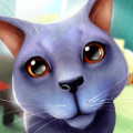 猫咪模拟器3D安卓版v1.0