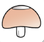 蘑菇仪表安卓版v1.0.0