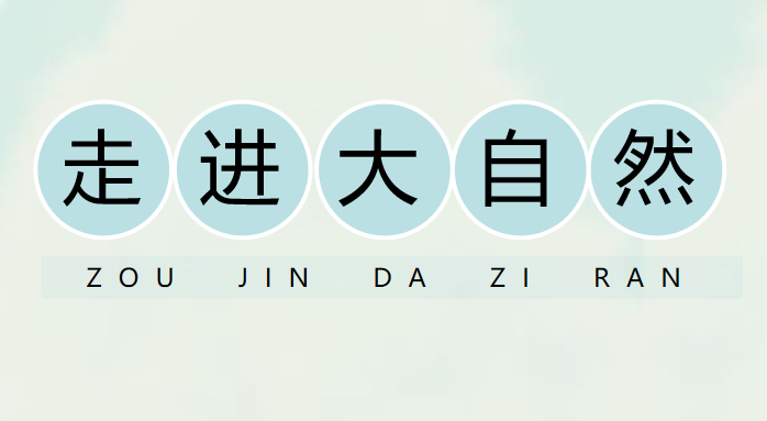 走进大自然PPT课件
