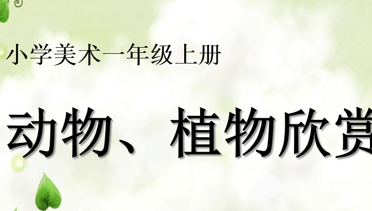 动物植物欣赏PPT课件
