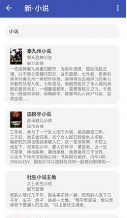 新小说