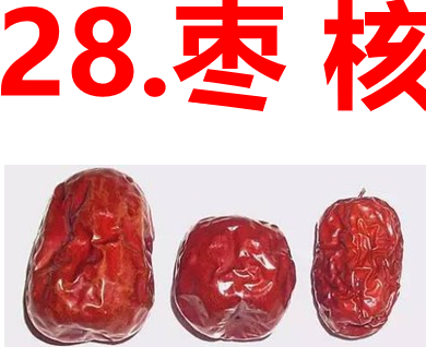 枣核PPT课件