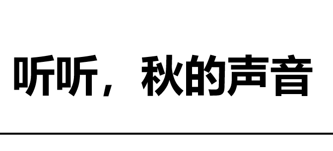 听听，秋的声音PPT课件