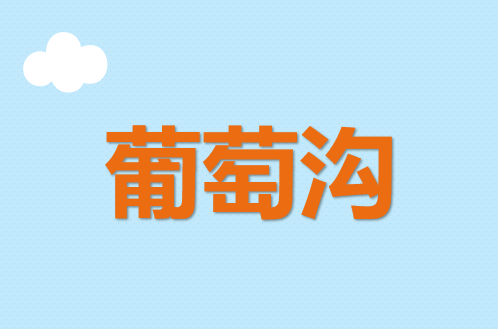 葡萄沟PPT课件