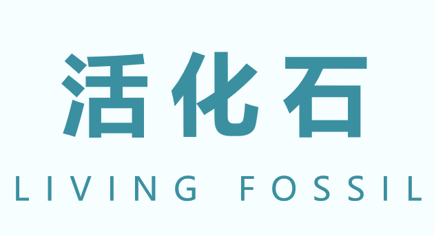 活化石PPT课件