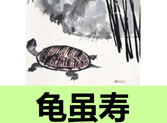 龟虽寿PPT课件