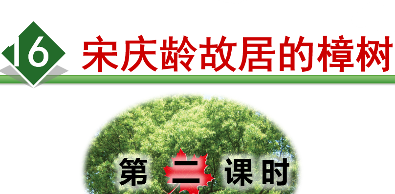宋庆龄故居的樟树PPT课件