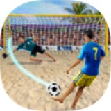 沙滩足球模拟器安卓版v1.3.8