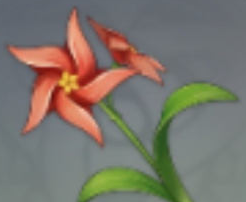 原神风车菊采集攻略