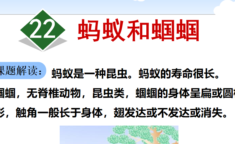 蚂蚁和蝈蝈PPT课件