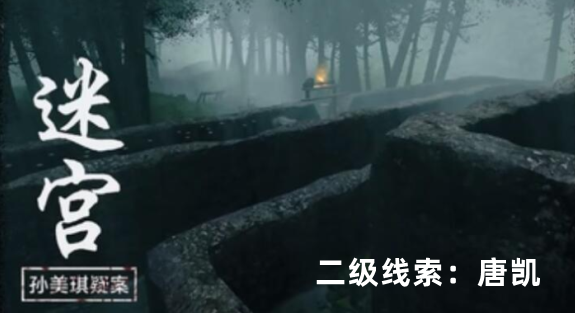 孙美琪疑案：迷宫二级线索唐凯获取方式详解