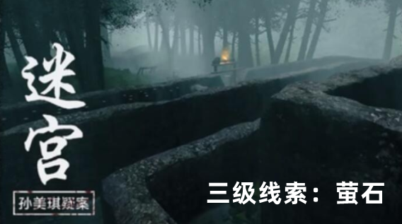 孙美琪疑案：迷宫三级线索萤石获取方式详解