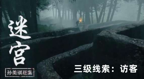 孙美琪疑案：迷宫三级线索访客获取方式详解