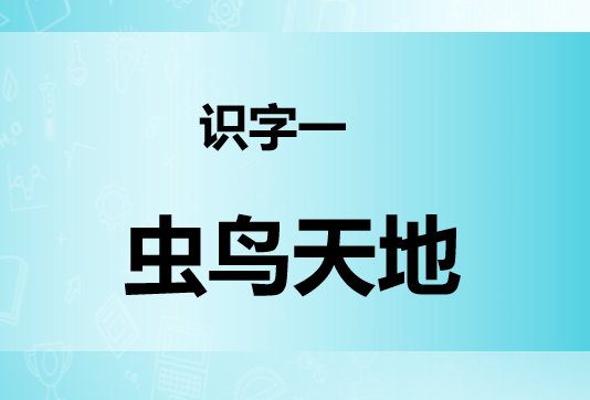 虫鸟天地PPT课件