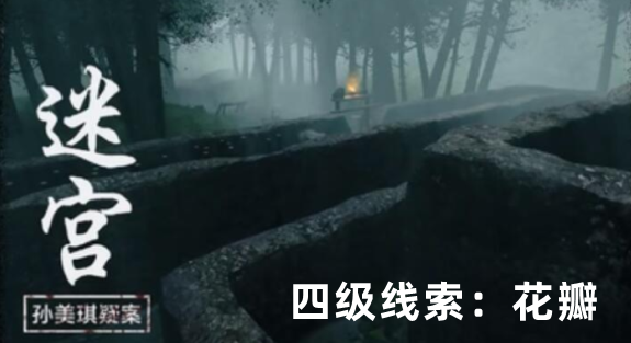 孙美琪疑案：迷宫四级线索花瓣获取方式详解