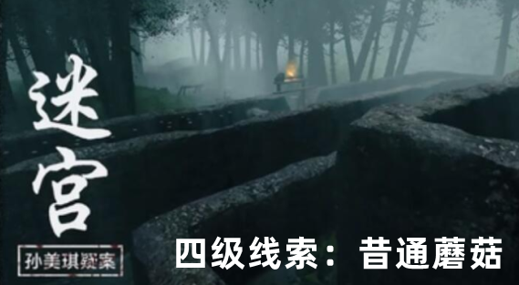 孙美琪疑案：迷宫四级线索昔通蘑菇获取方式详解