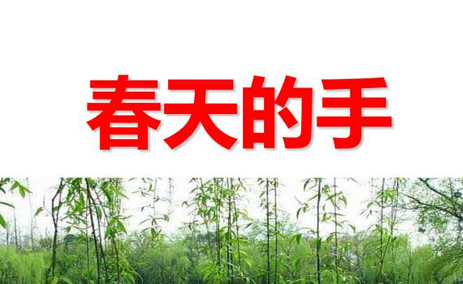 春天的手PPT课件